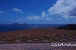 DSC_4307.jpg