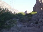 100_5792.jpg