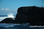 DSC_0010.jpg