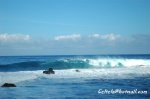 DSC_0013.jpg