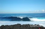 DSC_0017.jpg