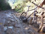 bicibarro.jpg