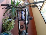 DSC00432.jpg
