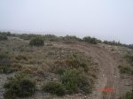 DSC06751.JPG