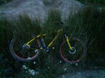 DSC00413.jpg