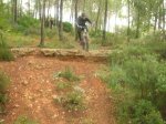 DSCN6751.jpg