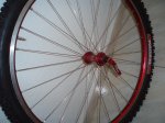 Ringle montadas 1.jpg