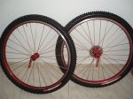 Ringle montadas  5.jpg