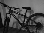 DSC00175.jpg