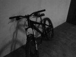 DSC00176.jpg