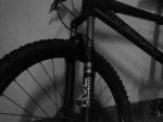 DSC00177.jpg