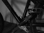DSC00178.jpg