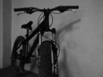 DSC00180.jpg