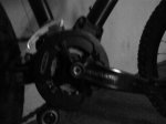 DSC00181.jpg
