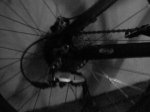 DSC00182.jpg