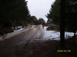 SL270473.jpg