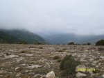 SL270495.jpg
