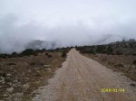 SL270498.jpg