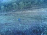 Por la  cuerda de las cumbres de Navalcan 005.jpg