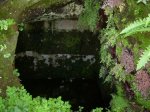 DSCN2754.jpg