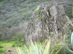 DSCN2759.jpg