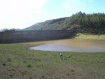 DSCN2767.jpg