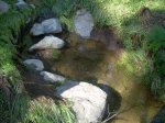 DSCN2774.jpg