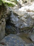 DSCN2780.jpg
