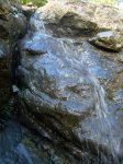 DSCN2781.jpg