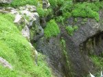 DSCN2790.jpg
