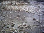 PICT0042.JPG
