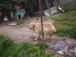 100_0282.jpg