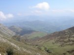 DSC02234.jpg