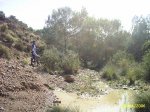 coto03.jpg