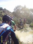 coto07.jpg