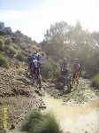 coto08.jpg