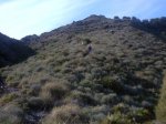 cogiemdop esparragos.jpg