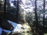 DSC00477.jpg
