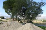 campillo5047.jpg
