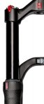 dt swis 2 (Medium).jpg