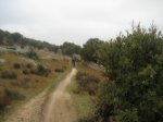 IMG_0004.jpg