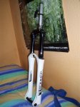 PC310018.jpg