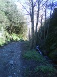 DSC00028_1.jpg
