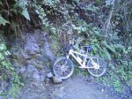 DSC00029_1.jpg