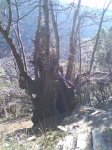 DSC00030_1.jpg