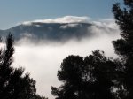 DSCF0032.jpg