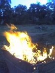 cam fire mar08.jpg
