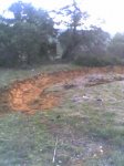 campi febr08.jpg