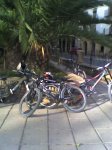 toads las bikes.jpg