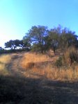 campi sept08.jpg